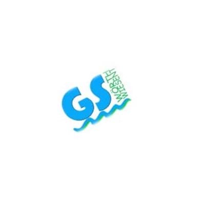 GS Wörth-Wiesent_Logo